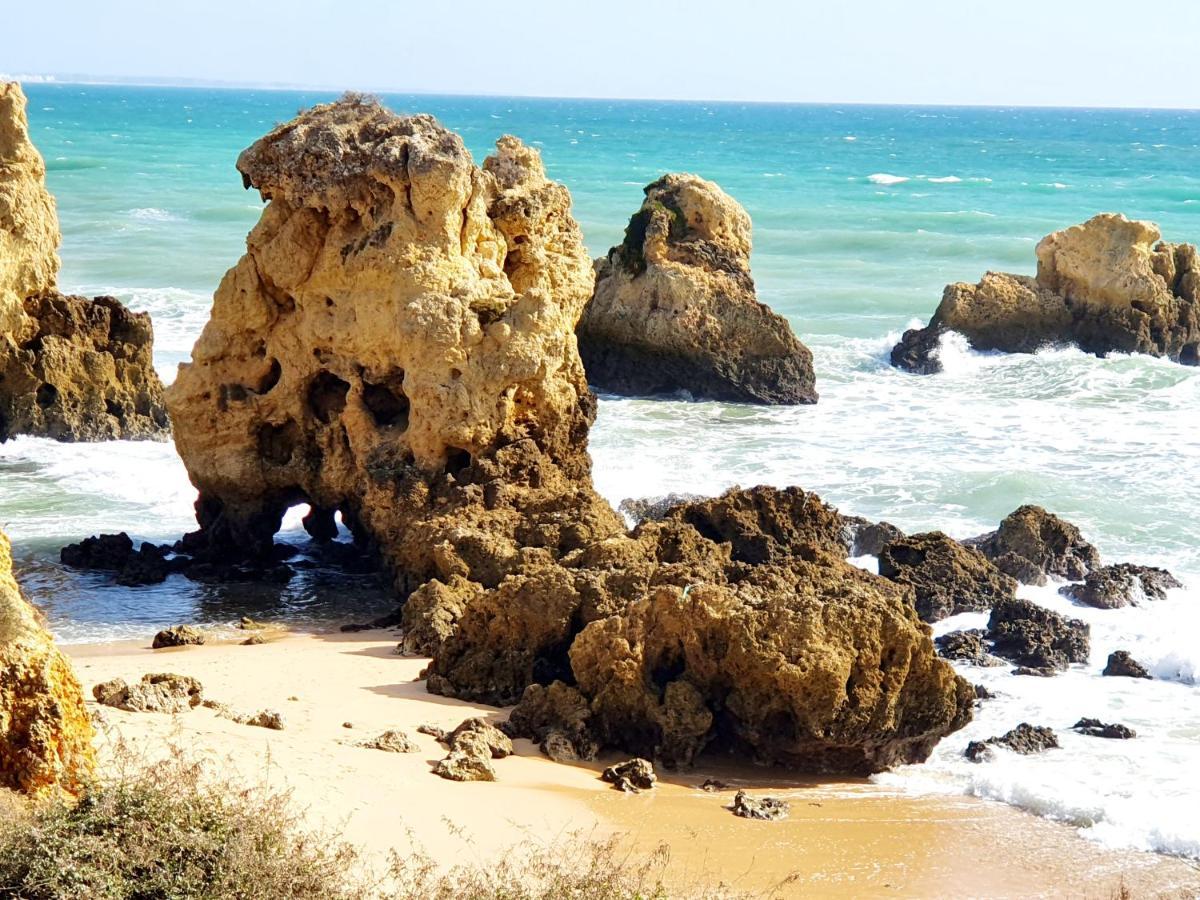 فيلا Canameira Beach - البوفيرا المظهر الخارجي الصورة