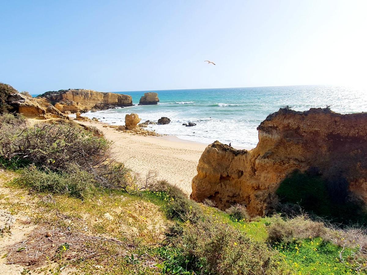 فيلا Canameira Beach - البوفيرا المظهر الخارجي الصورة